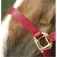 Equitheme Cabezada de cuadra Nylon Adjustable