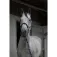 Equitheme Satin grimma och ledrep