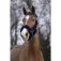 Equitheme Teddy Halfter