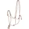 Norton equestrian Capezza First