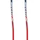 Swix Bastons WC Pro SG Junior
