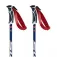 Swix Bastons WC Pro Slalom