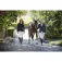 Equitheme Athens Damenjacke