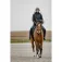 Equitheme Paola jacke