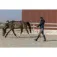 Equitheme Pro Series Amble Damjacka