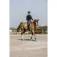 Equitheme Pro Series Canter 긴팔 티셔츠