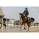 Equitheme Pro Series Hunter jacka