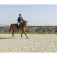 Equitheme Pro Series Padded Diagonal Kurtka