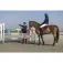 Equitheme Pro Series Padded Diagonal jacke