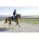 Equitheme Pro Series Padded Diagonal jacke