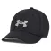 Under armour Blitzing pet
