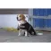 Diego & louna Polyfun dog jacket