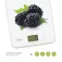 Tm electron Báscula de cocina TMPBS023