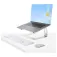 Startech CE17822 Bærbar computer stand
