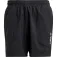 adidas Short Mt
