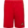 adidas Tiro 23 shorts