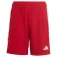 adidas Tiro 23 shorts