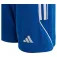 adidas Tiro 23 shorts