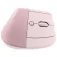 Logitech Lift Wireless Ergonomic Mouse