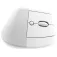 Logitech Mouse ergonomico wireless Lift