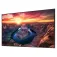 Samsung QM55B 55´´ UHD VA LED モニター