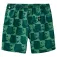 Globe Short de bain Circuits Poolshort
