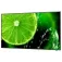 Nec Pantalla MultiSync E438 43´´ UHD LED