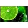 Nec Pantalla MultiSync E438 43´´ UHD LED