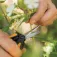 Fiskars MicroTip Solid SP13 trädgårdssax