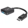 C2g DisplayPort-VGA-sovitin