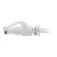 C2g Cable de red CAT6 UTP 1 m