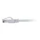 C2g UTP CAT6 network cable 1 m