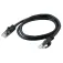 C2g UTP CAT6 网线 2 m