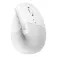 Logitech Lift For Mac wireless mouse