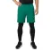 Head Club shorts