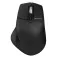 Phoenix technologies Ergo M2 无线鼠标