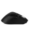 Phoenix technologies Ergo M2 wireless mouse