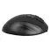 Phoenix technologies Ergo T1 wireless mouse