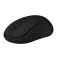 Phoenix technologies M250 Draadloze muis