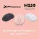 Phoenix technologies Mouse wireless M250