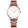 Bellevue E104 dameur