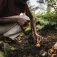 Fiskars Solid Hand Bulb bloempot