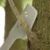 Fiskars Machete Solid