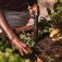 Fiskars 实心种植棒