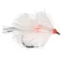 Baetis Mancha Bead Body