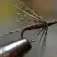 Baetis Drowned Perhokalastus
