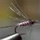 Baetis Drowned Flyga