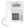 Alcatel TMAX70 固定电话