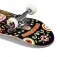 Hydroponic West Co 7.75´´ skateboard