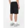 Dickies Mapleton shorts